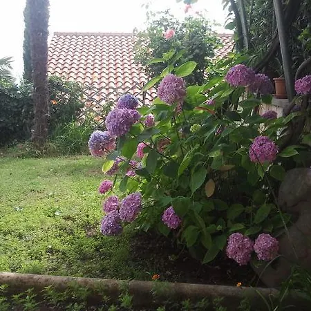 Villa Lela Apartament