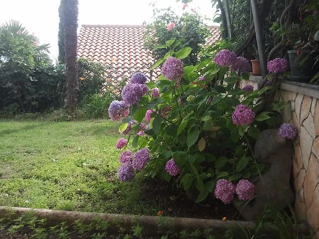 Villa Lela Apartment