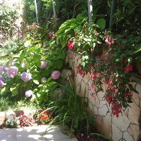 Villa Lela * Medveja